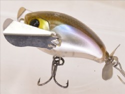 Pochari wakasagi