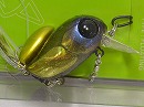 Katsu moebi shad