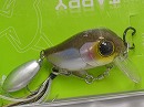 Pochari wakasagi