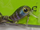 Smoky gill