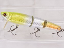 Albino chart pirarucu