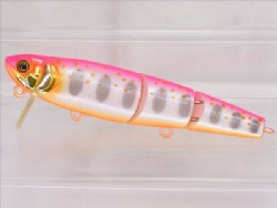 Pink back albino iwana