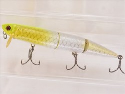 Albino chart pirarucu