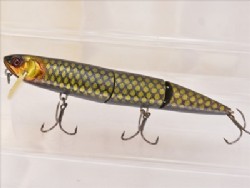 Gold black pirarucu