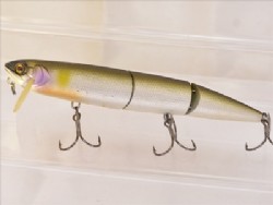 Fumitsuki ayu (Kiwami limited color)