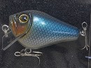 Blue shad