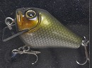 Green shad