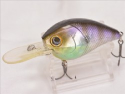 Gill