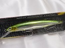 Shining minnow