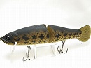 Mat raigyo (snake head) -Yellow belly