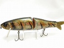 Molt craw