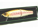 Rainbow trout
