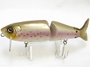 Rainbow trout