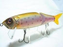 Rainbow trout