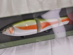 Rainbow trout