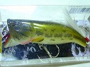 Baby bass