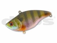 Spawning gill (#01)