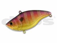 Red gill (#07)