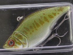 Largemouth bass (#08)