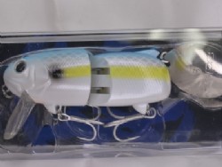 Sexy shad (#04)