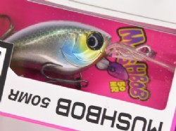 Kawashima meimetsu bone