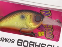 Muddy chart fish