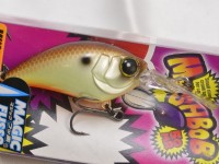Muddy shad