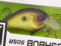 Muddy chart fish