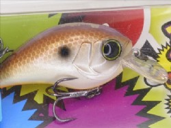 Muddy shad