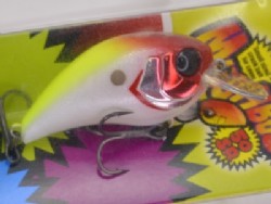 Raddy shad