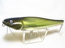 Redtail catfish