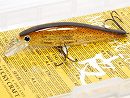 Member limited color (Real squid skin covering)