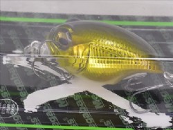 Dorado