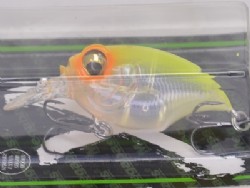 SG hot shad