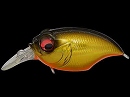 GG Megabass kinkuro