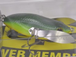Fire belly toad (2022 member limited color)