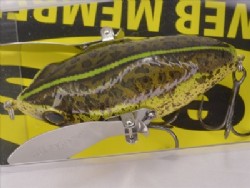 Leopard frog (2023 member limited color)