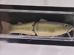 Flash carp (#01)