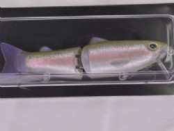 Rainbow trout (#06)