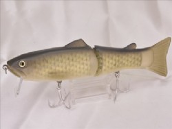 Flash carp