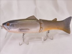 Glitter carp