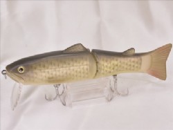 Flash carp