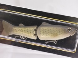 Flash carp (#01)