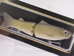Wild carp (#02)