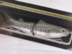 Baby bass (#11)