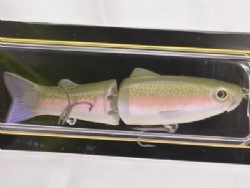 Rainbow trout (#06)