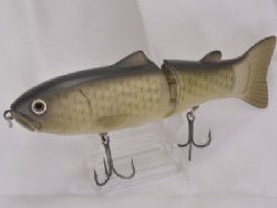 Flash carp