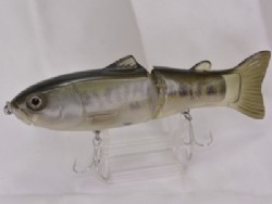 Largemouth bass