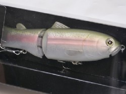 deps new SLIDESWIMMER145 Rainbow Color Brand NEW From Japan 