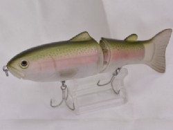 Rainbow trout